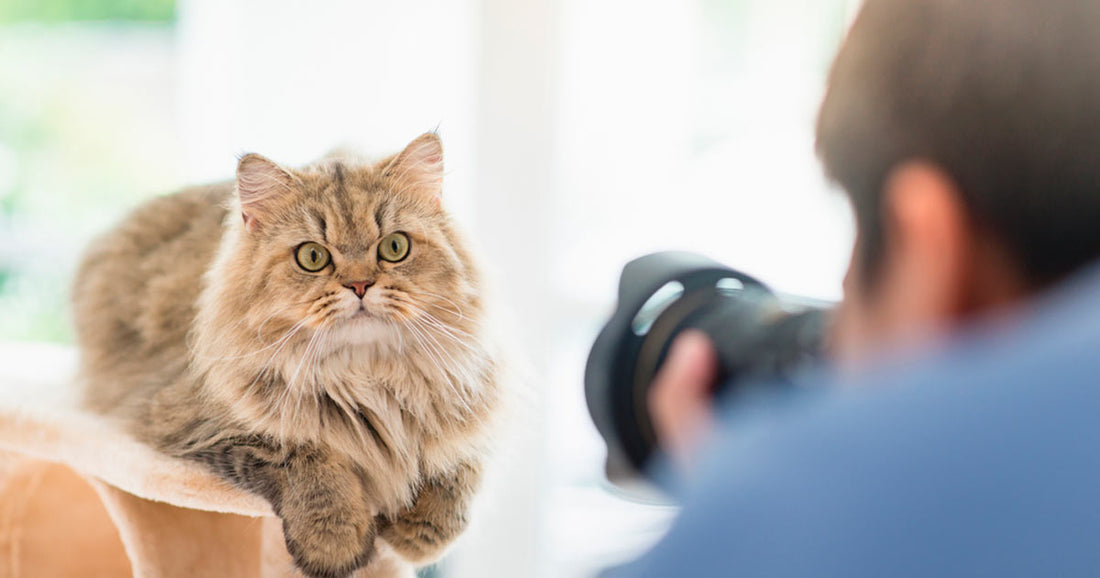 Nuestras mascotas, lo más fotografiado