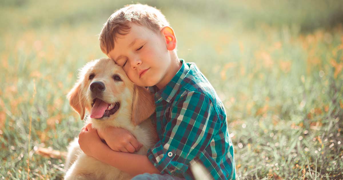 Perros de terapia para niños hiperactivos