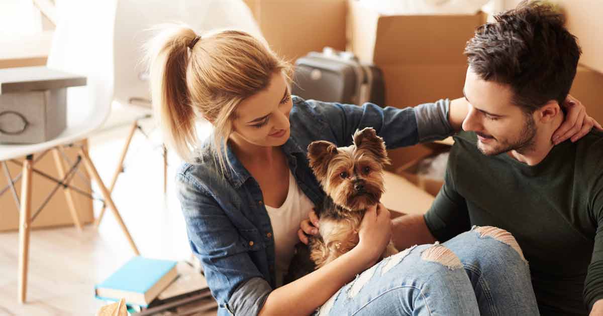 Preguntas que debes hacerte antes de tener un perro