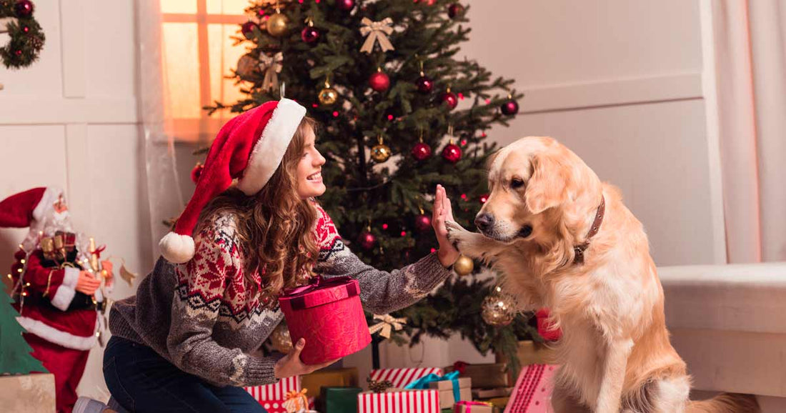 Los mejores regalos de Navidad para ARISTOPETS