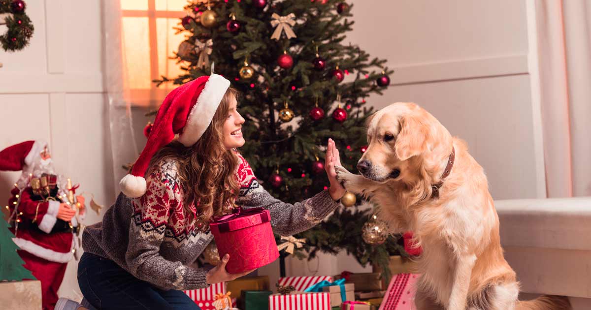 Los mejores regalos de Navidad para ARISTOPETS