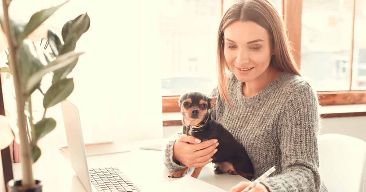 Empresas pet friendly en Reino Unido