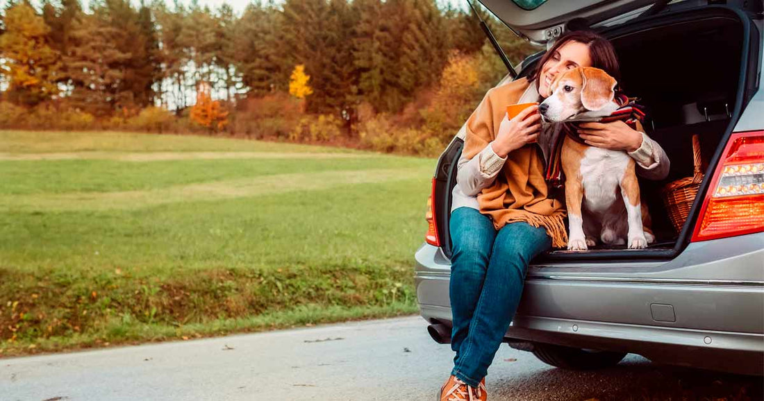 Consejos para que tu ARISTOPET no se maree en el coche