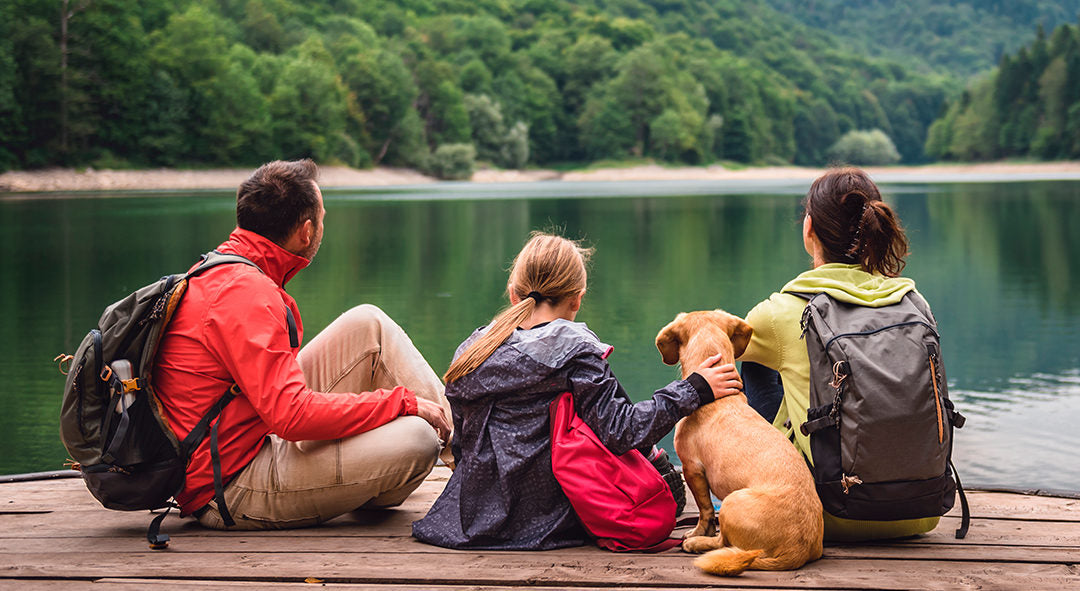 Llega el verano y las vacaciones: Te mostramos los imprescindibles de viaje si tienes pensado en irte unos días con tu mascota