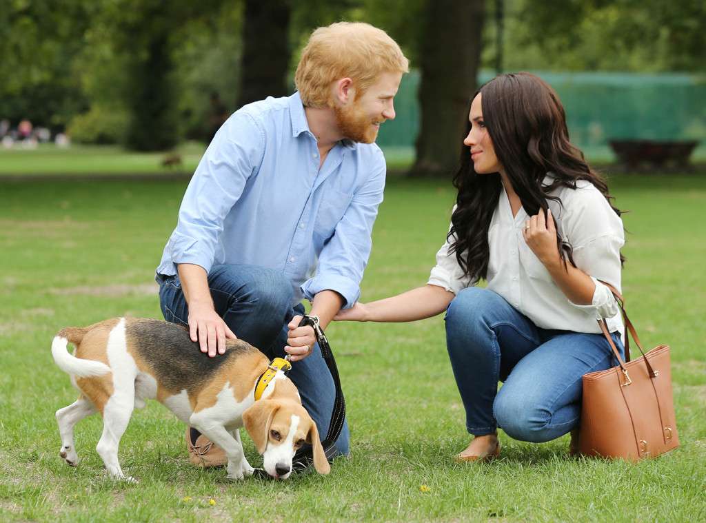 Meghan Markle y su perro Guy: Una familia real