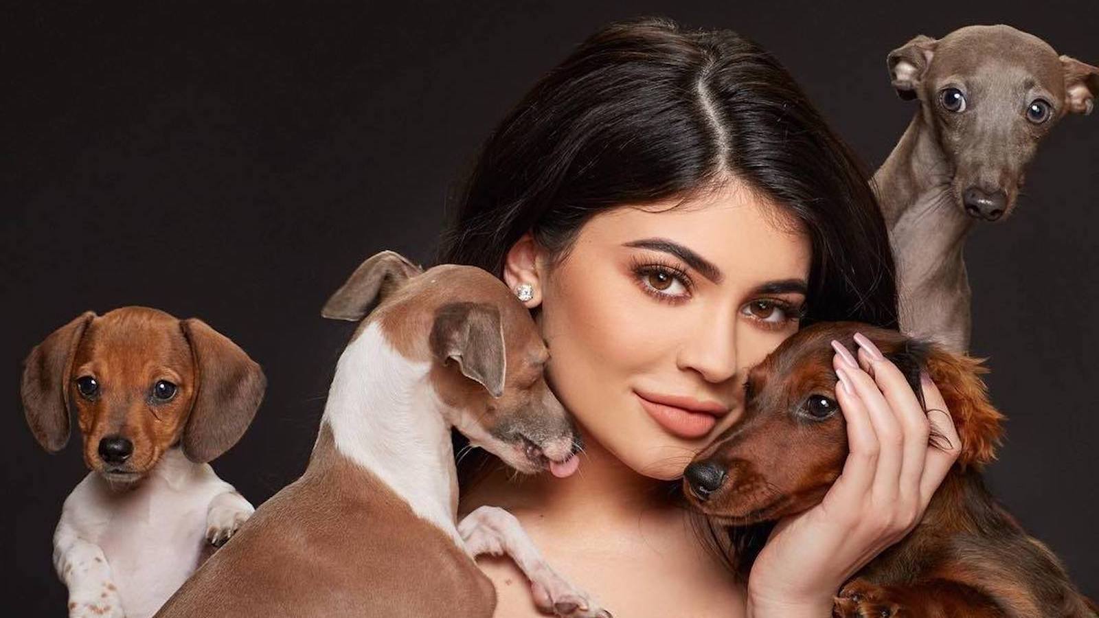 Las mascotas más famosas de la red