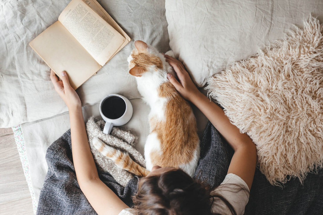 chica gato libro