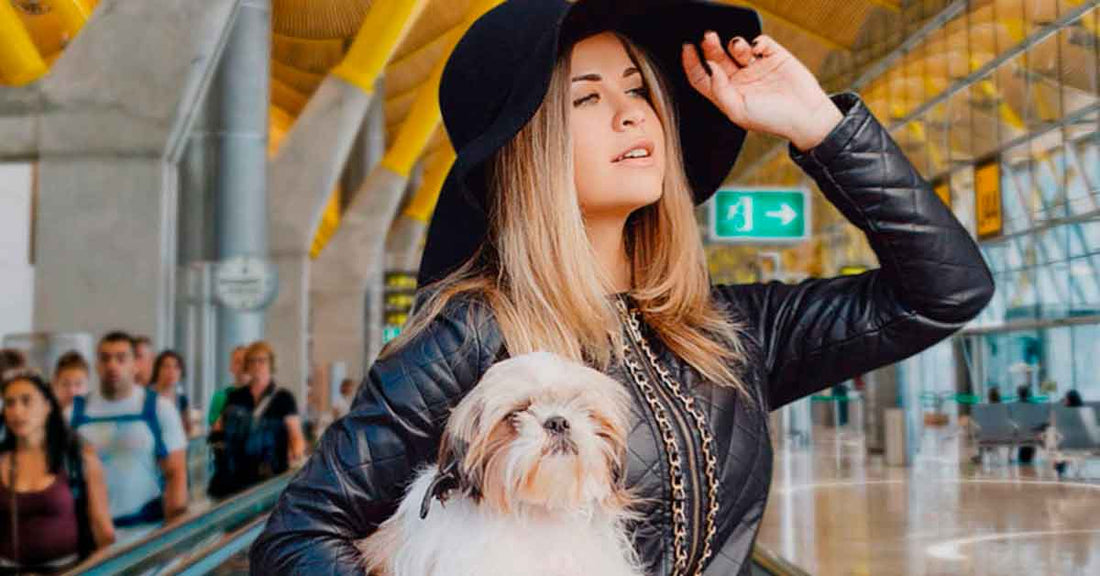 consejos para viajar en avión con tu mascota