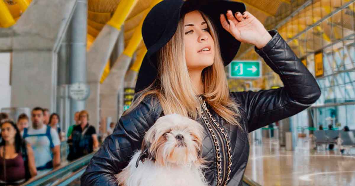 consejos para viajar en avión con tu mascota