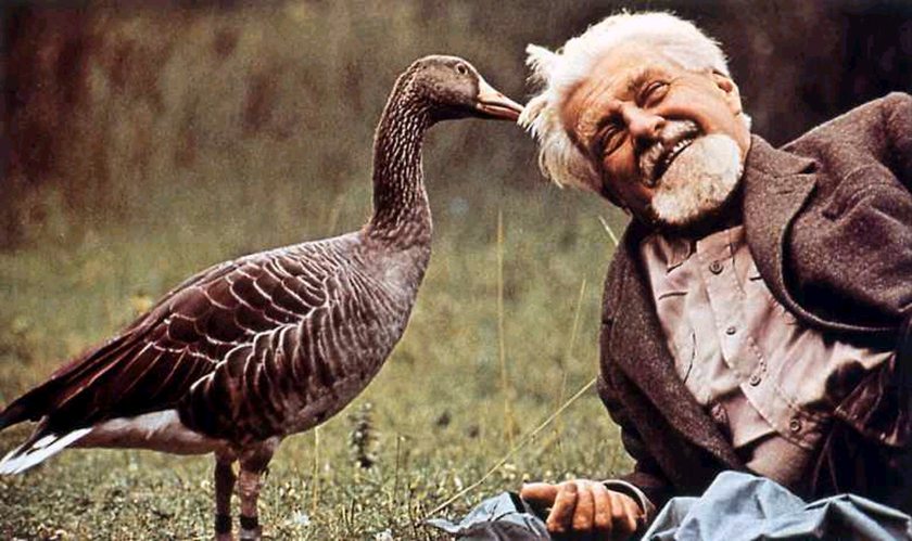 Conociendo a Konrad Lorenz: el padre de la etología