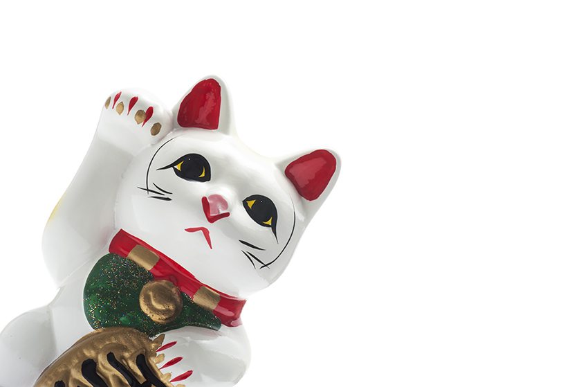 Pon un gato de la suerte en tu vida
