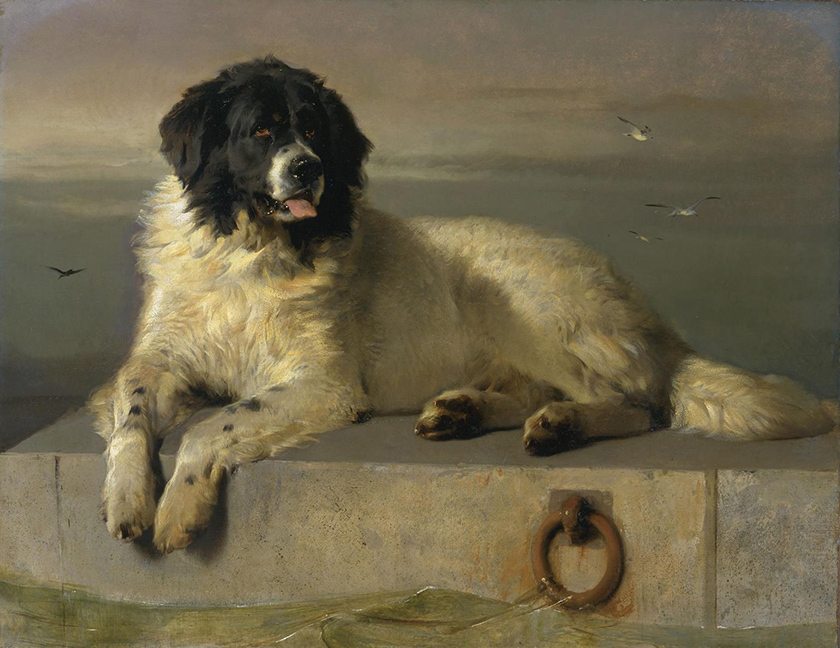Mascotas en el arte (II)