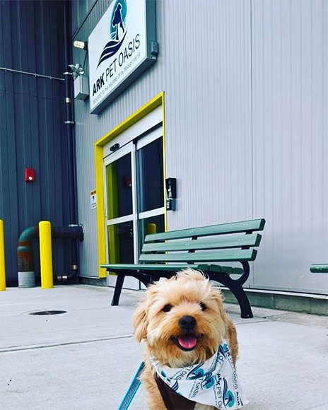 La terminal para ARISTOPETS del aeropuerto de NY