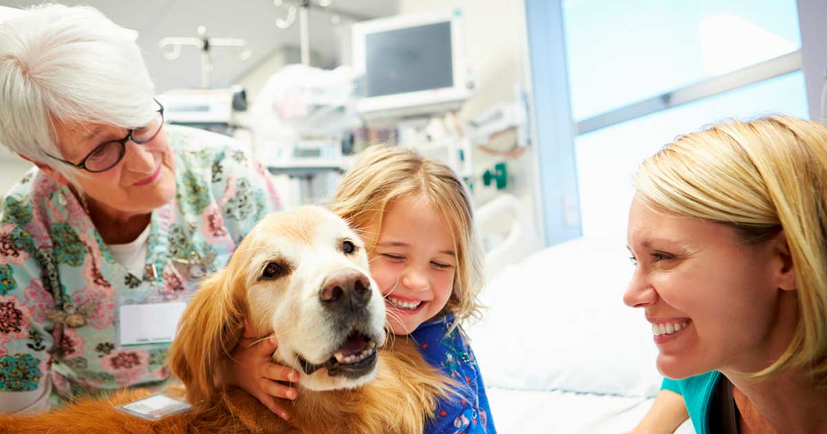 ARISTOPERROS: apoyo incondicional en el hospital 