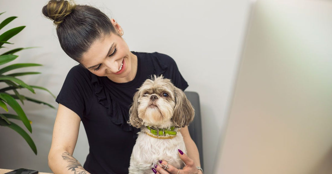 Empresas Petfriendly de Alemania