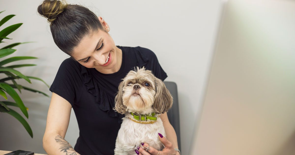 Empresas Petfriendly de Alemania