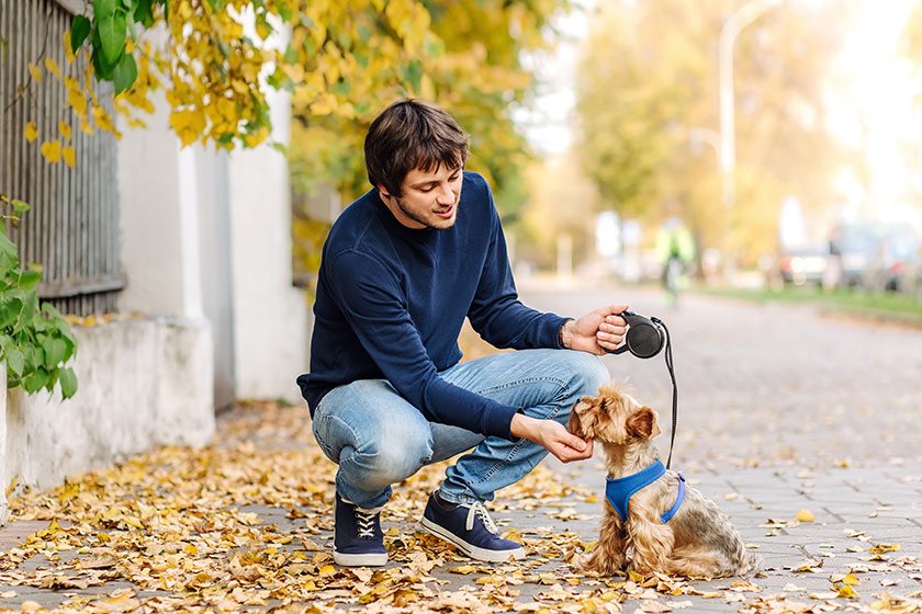 Planes de invierno para disfrutar de tu mascota
