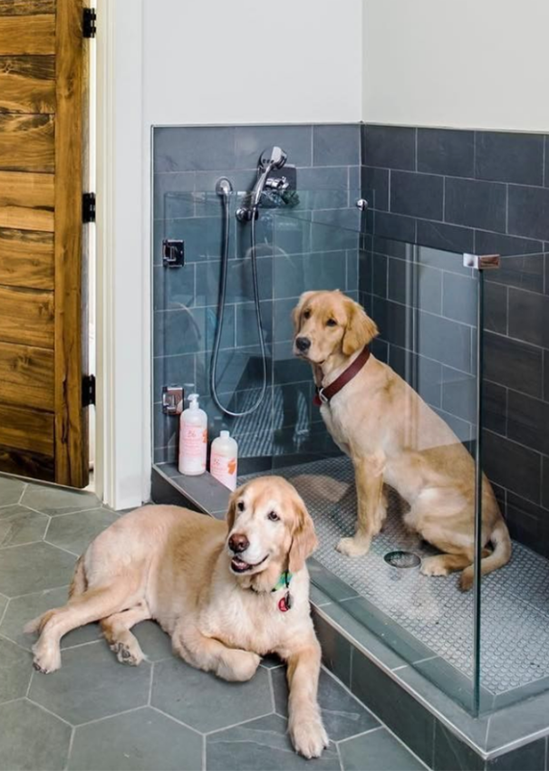 ¿Y si pudieras tener una ducha exclusiva para tu perro?