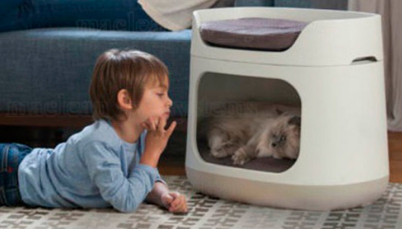 Guía para una Casa Cat Friendly sin Perder el Estilo