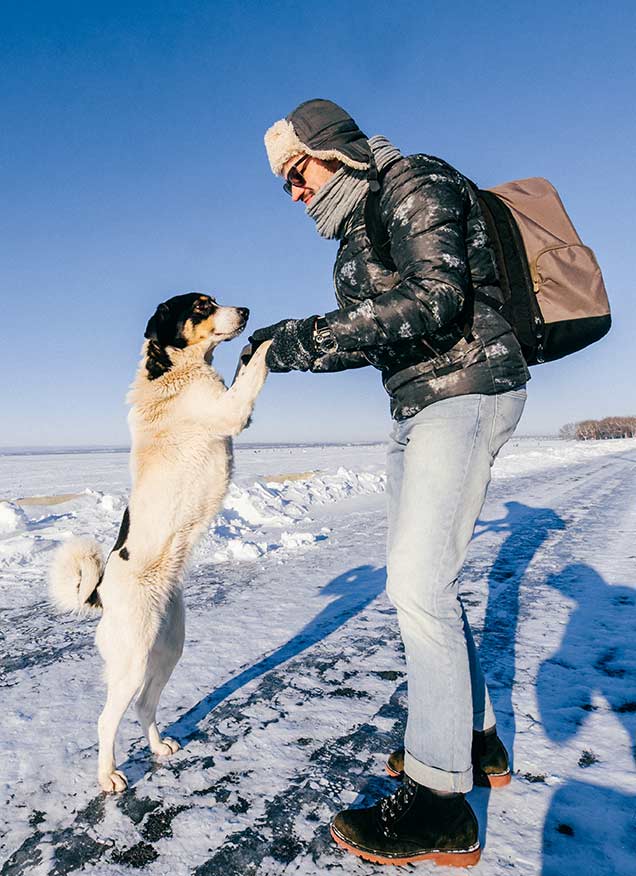 Groenlandia, la tierra de los perros