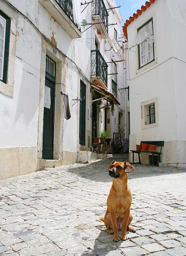 Portugal, un ejemplo a seguir