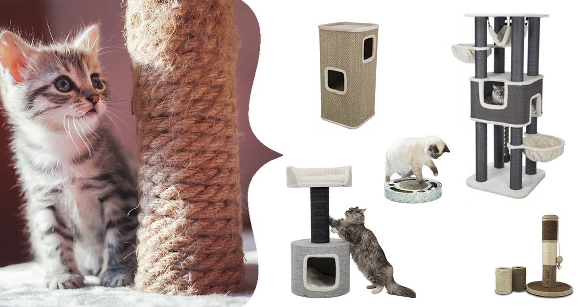 Rascadores para gato