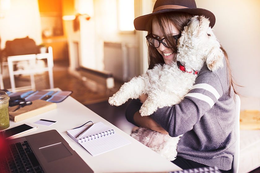 Los mejores regalos de Navidad para los amantes de las mascotas
