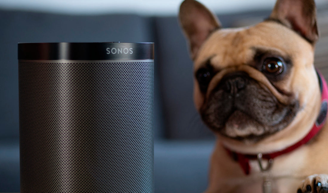 SPOTIFY LANZA PLAYLIST PARA MASCOTAS