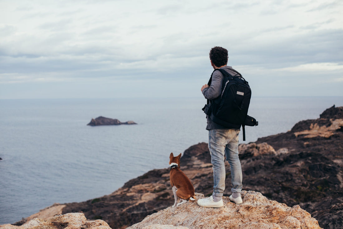 5 consejos para hacer rutas de senderismo con tu perro