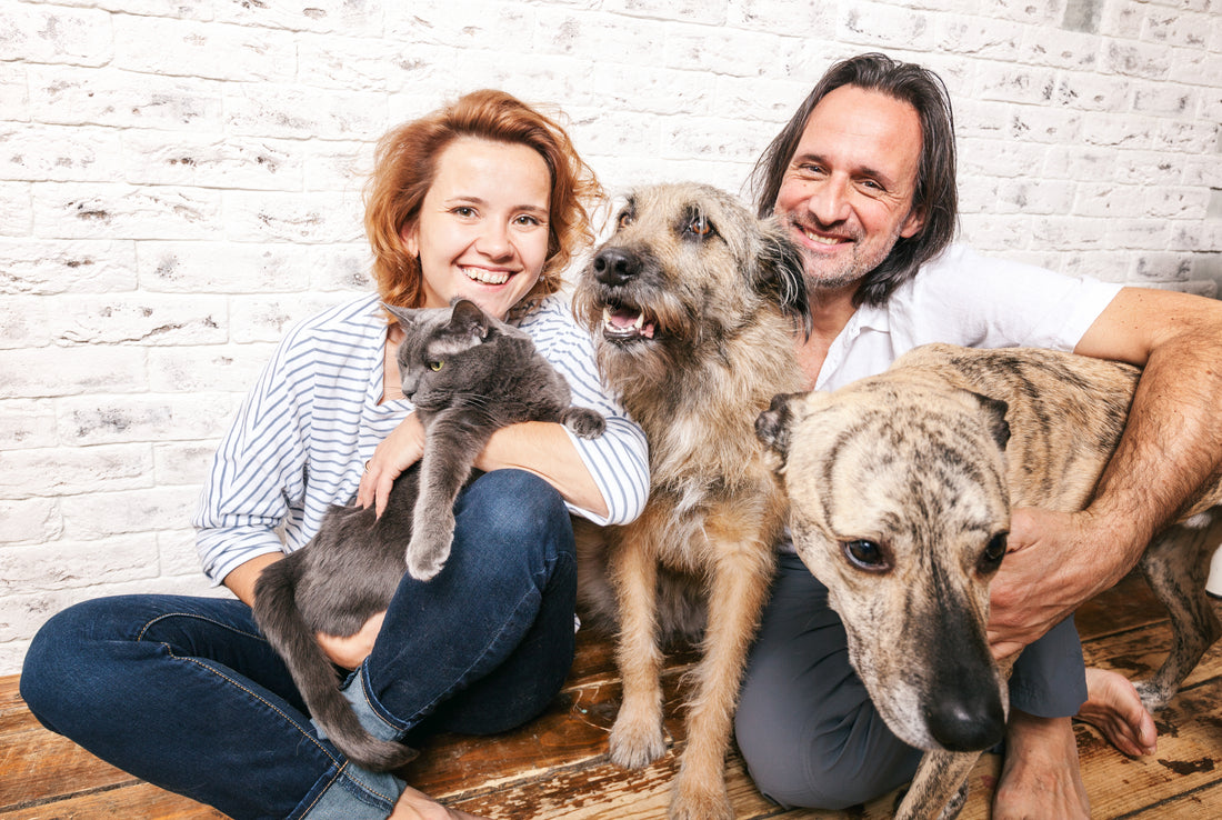 Clubs sociales para ARISTOPETS y  ARISTOPETERS
