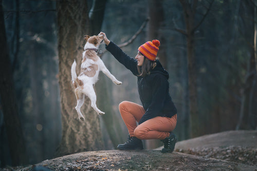 ¿Tu perro es hiperactivo? Vigila su alimentación