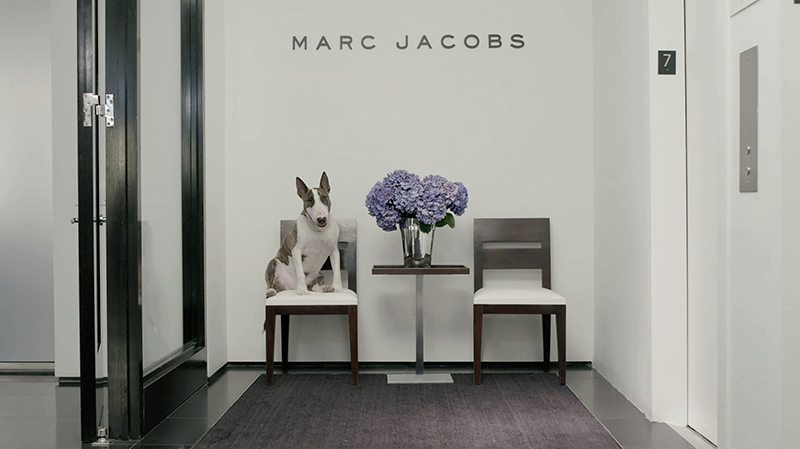 Neville Jacobs publica su primer libro