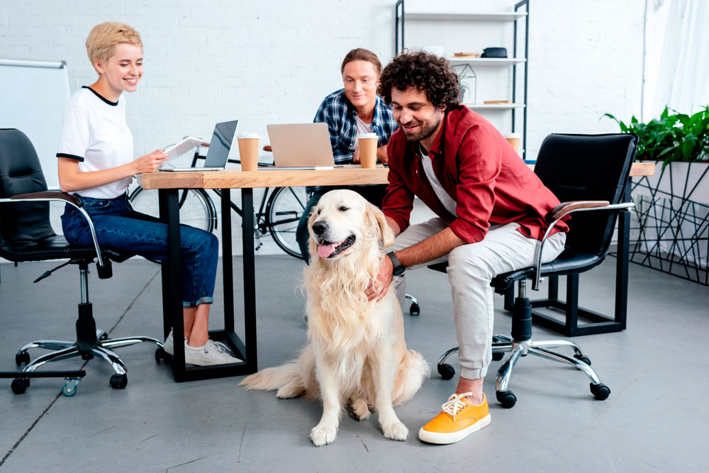 Los beneficios de llevar a tu mascota al trabajo