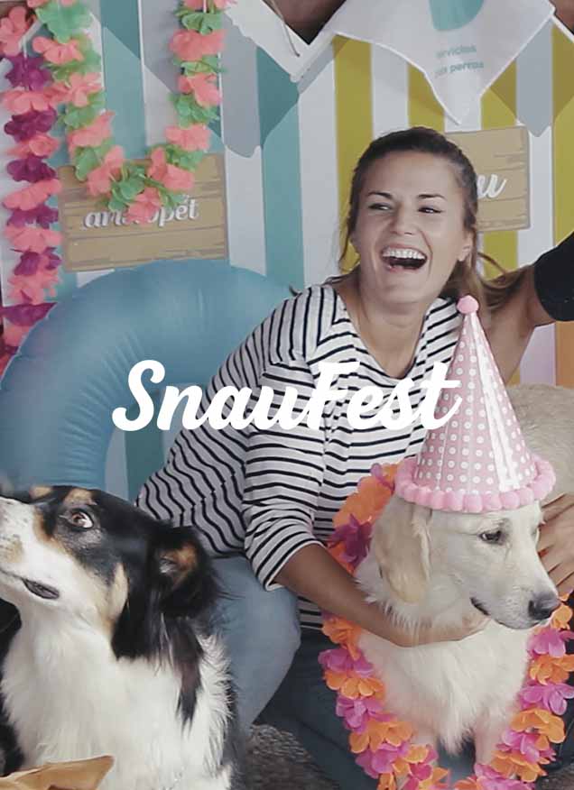 SnauFest FESTIVAL DE VERANO PARA PERROS