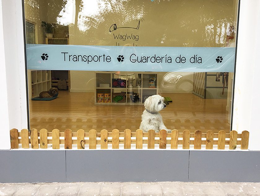 WagWag: La nueva guardería para perros en Madrid