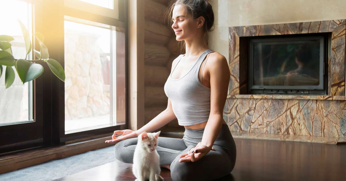 Yoga con gatos: el mejor ejercicio para el 2018