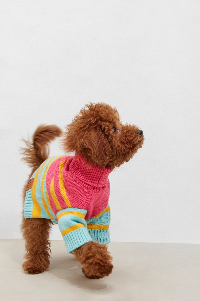Jerseys para Perro