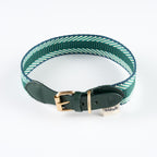 Collar Mopsy Verde