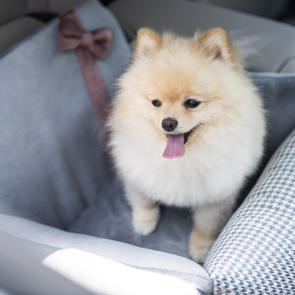 Finessa Oh Charlie Car Bed