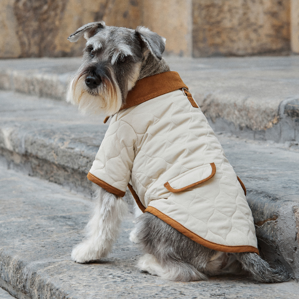 Spencer jacket beige Aristopet