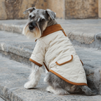 Spencer jacket beige Aristopet