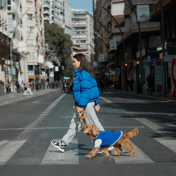 Mookie jacket azul Aristopet