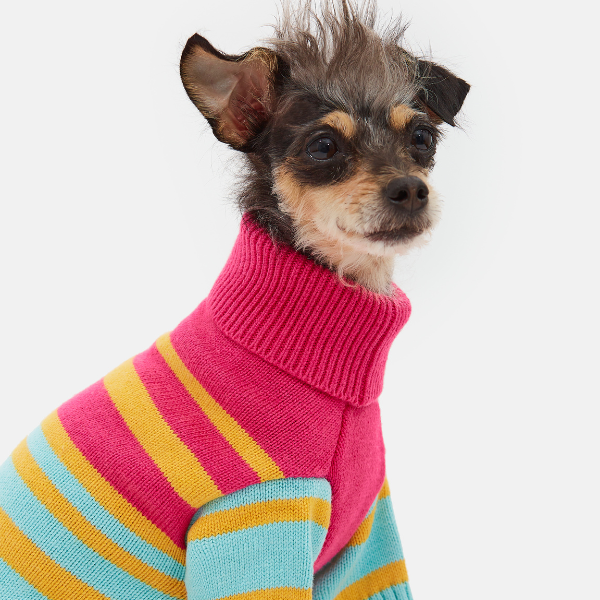 Jersey Bernard Aristopet