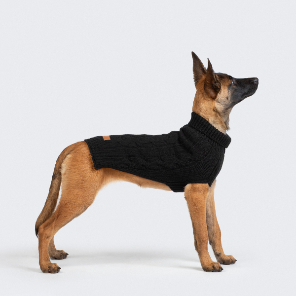 Jersey Aspen Negro