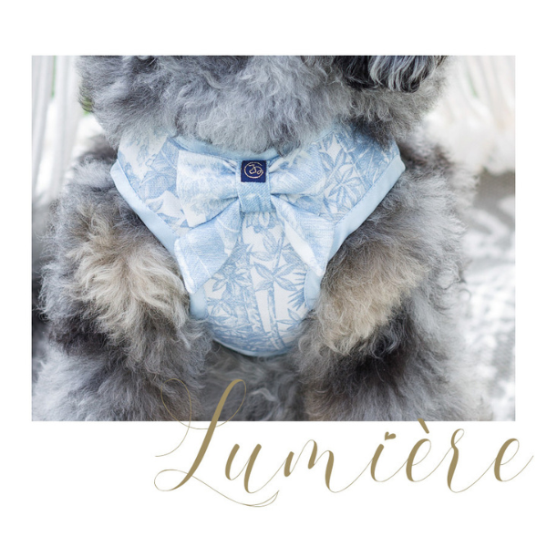 Arnés Lumière Oh charlie Azul