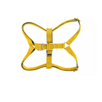 Harness active gray bowl and bone