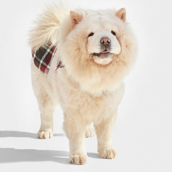 Dog coat Leaf Tartan B&amp;B x Aristopet