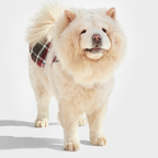 Dog coat Leaf Tartan B&amp;B x Aristopet