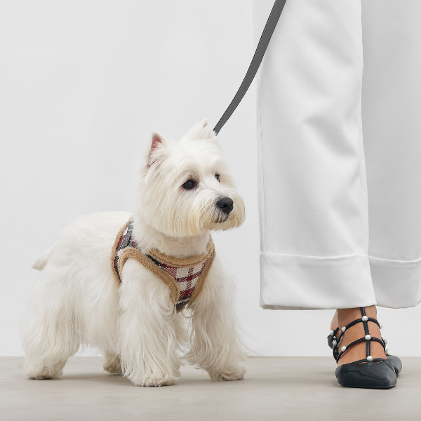DOG ARNES TARTAN B&amp;B x ARISTOPET