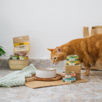 Fisherman's Stew with Salmon & Pork for Cats 80g
